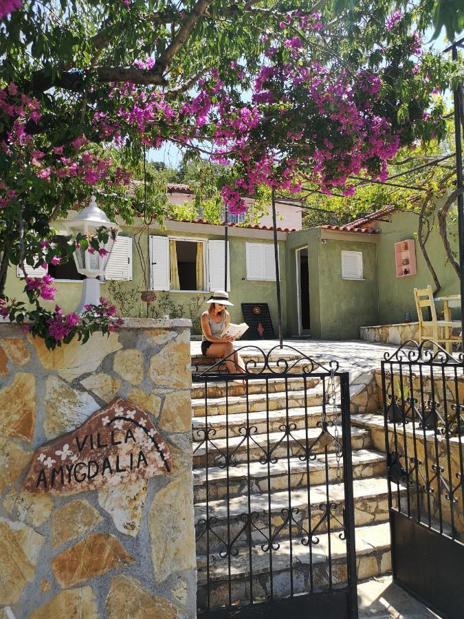 Holiday home Amygdalia *