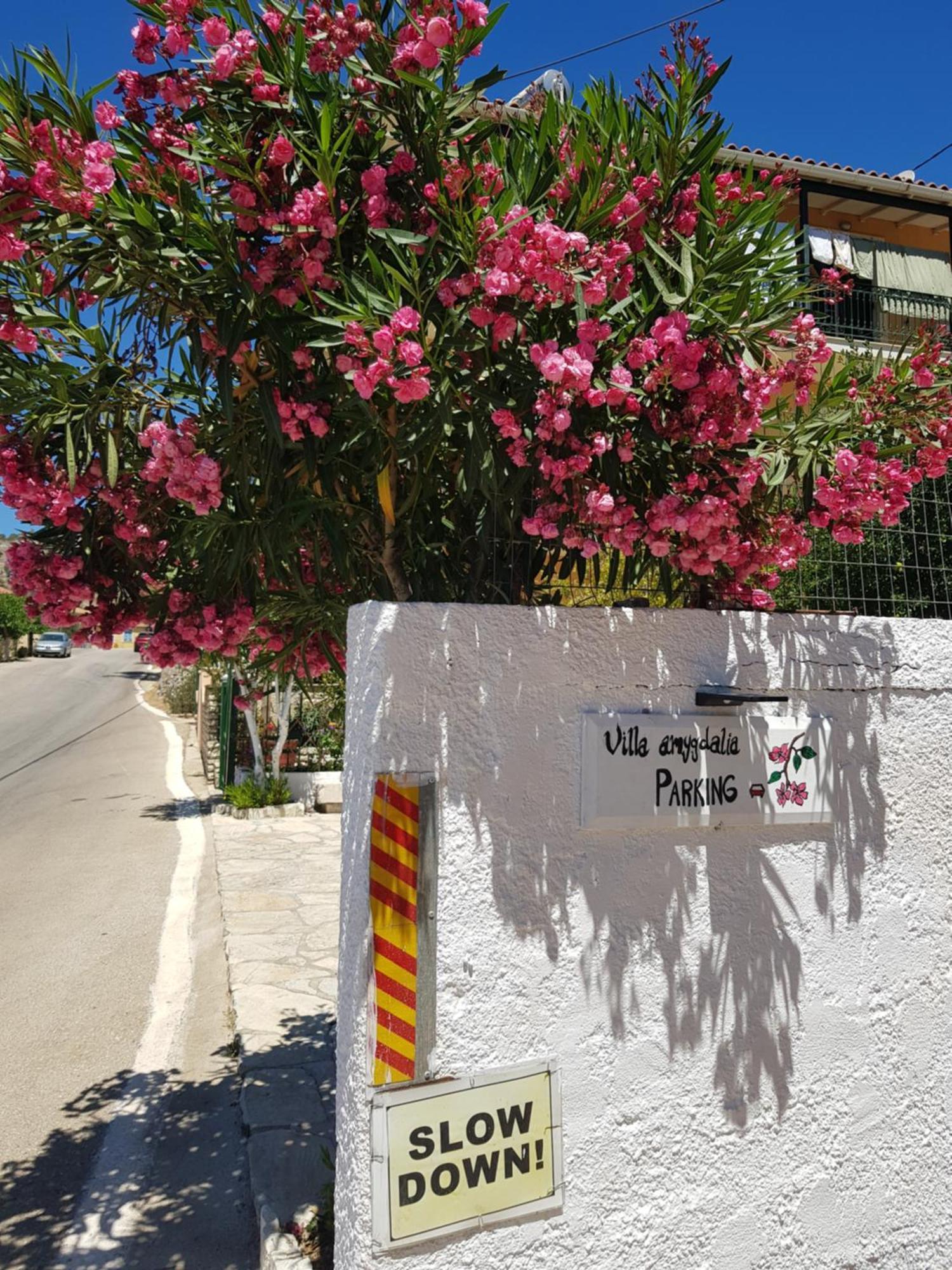 Amygdalia Holiday home